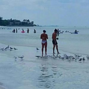 Meet your Posher, Efes